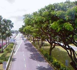 Airport Singapur/Fahrt zu den Terminals