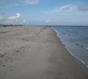 Strand 1km vom Hotel Tigaki Beach  am Salzsee