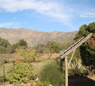 ....am Rande der Natur gelegen...