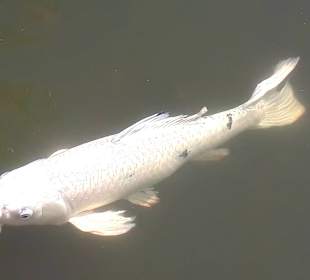 La Vallée des Couleurs NP 