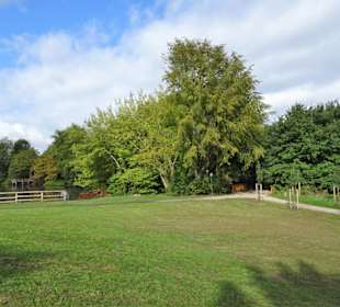 Spaziergang durch den Mühlenkamp-Park