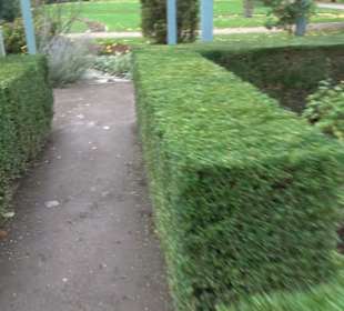 Karl-Foerster-Garten