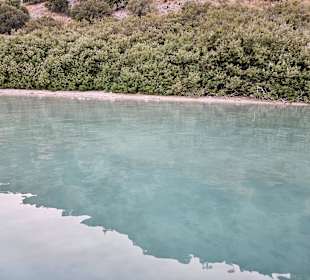 Seeufer, an dem sich die Schildkröten aufhalten