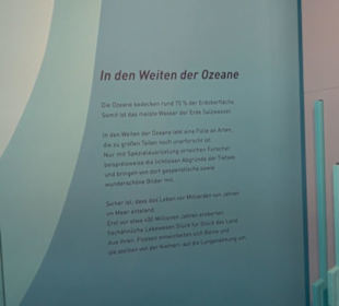 Museum für Naturkunde