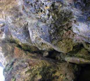 Berühmten Felsen von Pottenstein