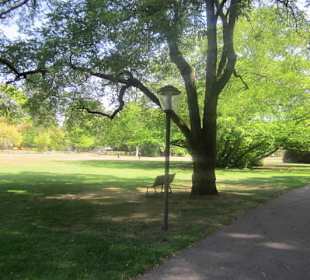 Kurpark Bad Bergzabern