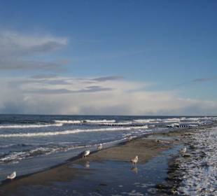 Winterstimmung am Strand von Zingst