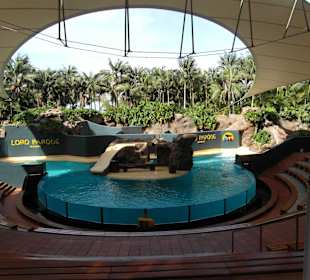 Hier findet gleich die Show mit den Robben statt