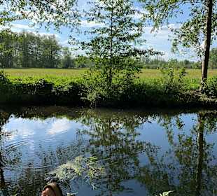 Kahnfahrten und Paddelboote Kleiner Spreewaldhafen