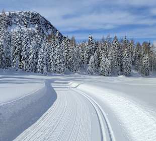 Wandern Passo San Pellegrino