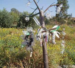 Jordan River Peace Park