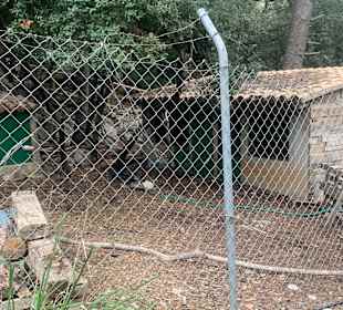 Die Tiergehege waren fast alle noch deutl.kleiner!