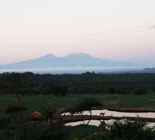 Schnee am Kilimanjaro