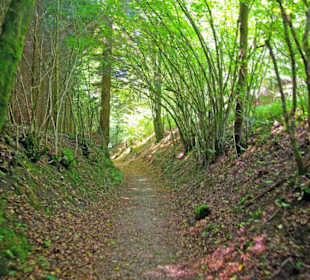 Der Therapeutische Wanderweg