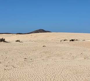 Naturpark Dünen von Corralejo