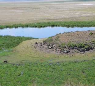 Ausblick vom Observation Hill