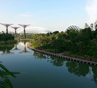 Fluss durch den Park