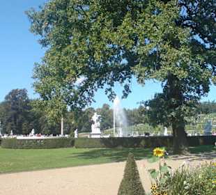 Park