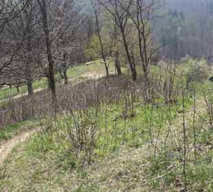 Wanderung Florianrunde