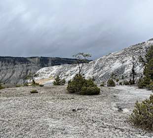 Yellowstone Nationalpark
