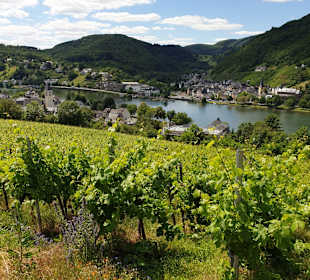 Wandern Ellenz-Poltersdorf