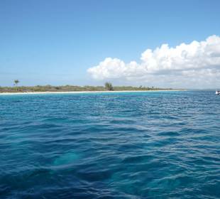 Ausblick auf Catalina