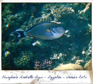 Ich beim Schnorcheln