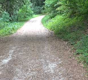 Waldlehrpfad in Tieringen