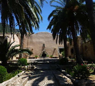 Palmen bieten Schatten