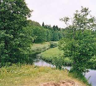 Urtümlicher Fluss