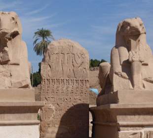 Shinxen im Karnak-Tempel