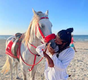 Reiten Mezraya Ranch Midoun
