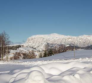 Wandern Nova Ponente / Deutschnofen