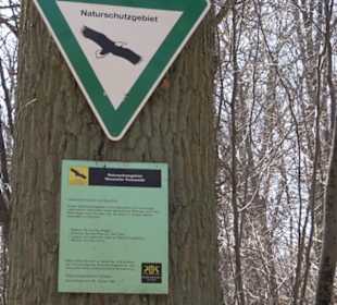 Waldkulturerbe Neuweiler Viehweide