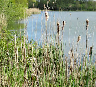 Eindrücke vom Rundgang im Seenpark
