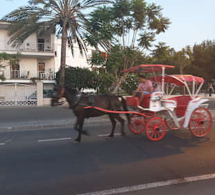 Stadtrundfahrt Alcudia