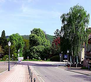 Straße zum Kurpark 