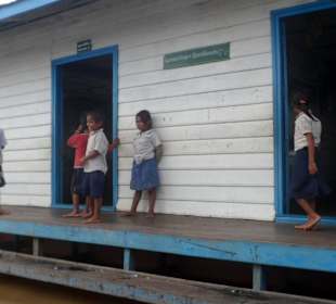 Schwimmende Schule auf dem See