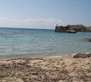 Tarida