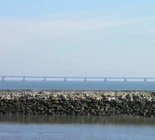 Das Ozeaneum im Rücken.