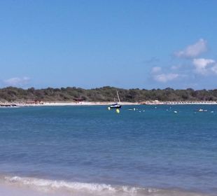 Hafenbucht Strand