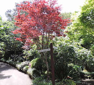 Eden Garden ein Paradies mitten in der Stadt