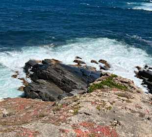 Flinders Chase National Park
