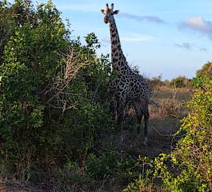 Sadaani Nationalpark