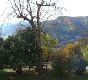 Herbstliche Wanderungen