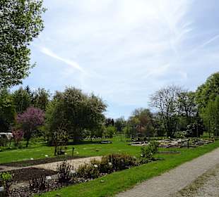 Garten Hohenheim
