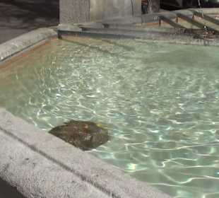 Rümelins-Brunnen