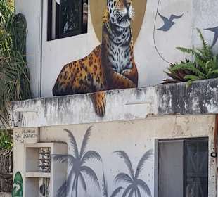 Stadtrundgang Akumal