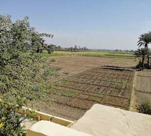 Ausblick vom Restaurant, in die Landschaft