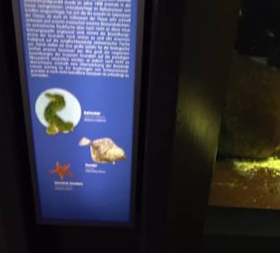 Aquarium